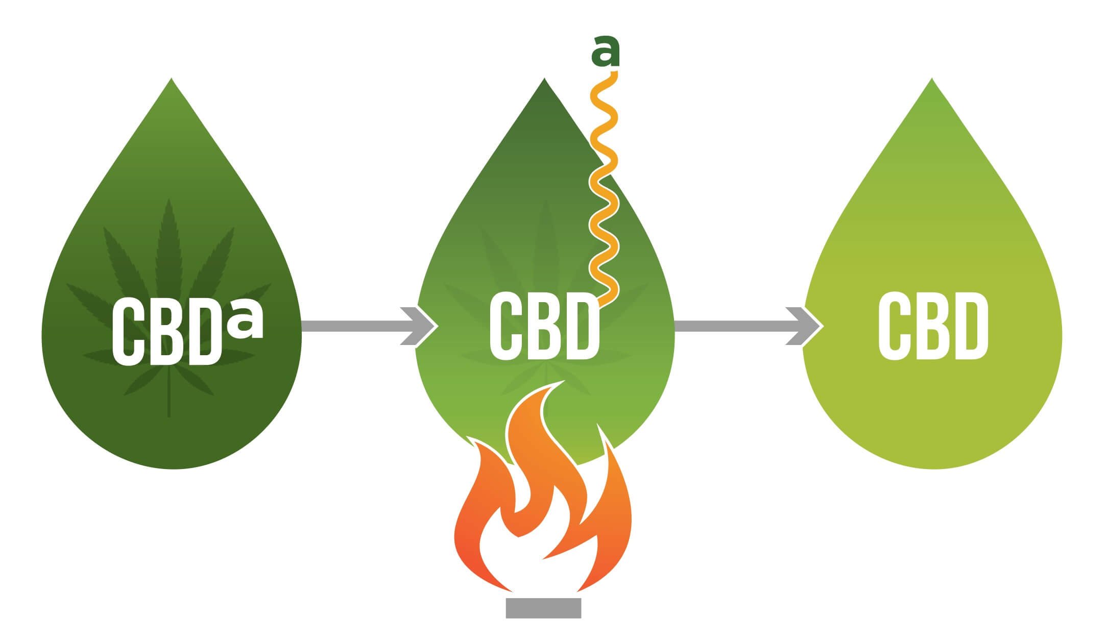 CBDA converting to CBD